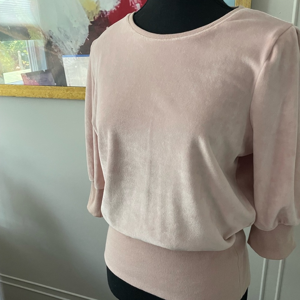 Vince Camuto/EUC Velvet